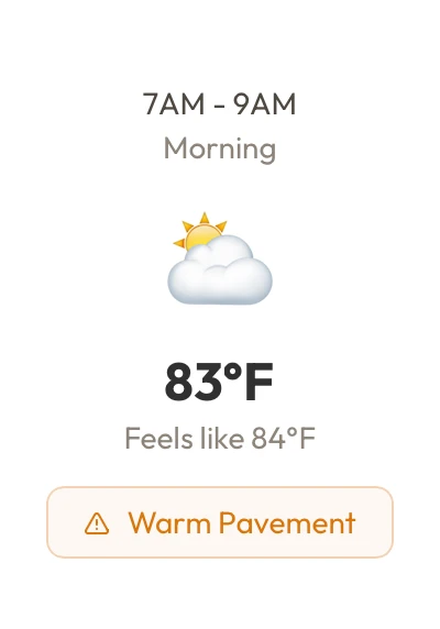 7AM to 9AM, Morning. 83 degrees, feels like 84. Warm Pavement.