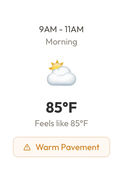 9AM to 11AM, Morning. 85 degrees, feels like 85. Warm Pavement.